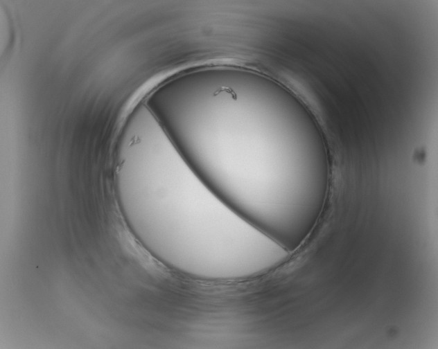 X0000113930948200909250912