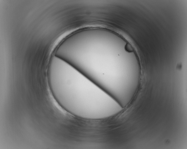 X0000113930951200909250913