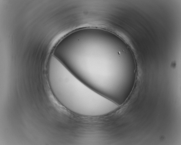 X0000113930952200909250913