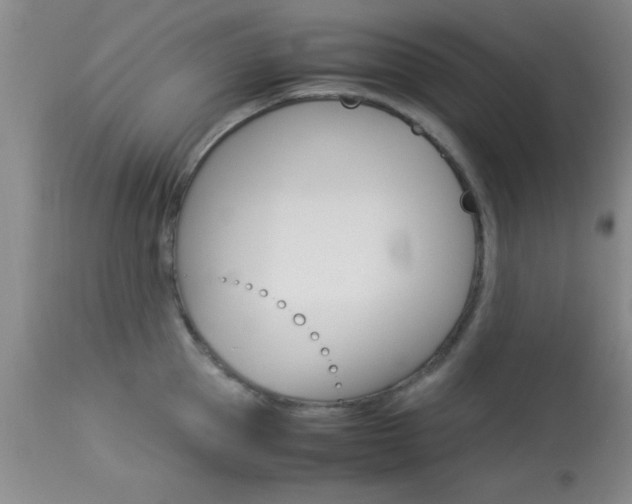 X0000113930953200909250913