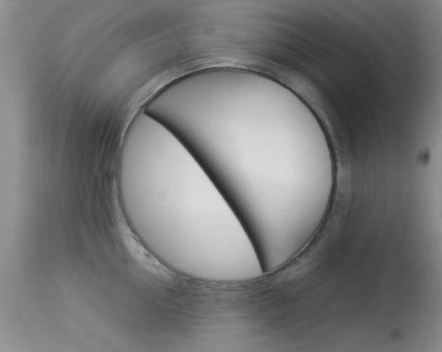 X0000113930954200909250913
