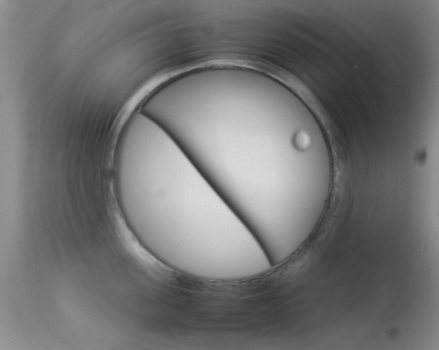 X0000113930955200909250913