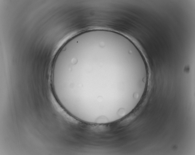 X0000113930957200909250913