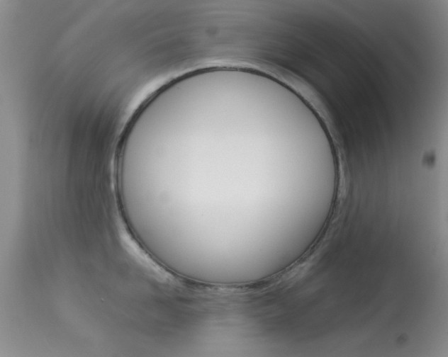 X0000113930958200909250913