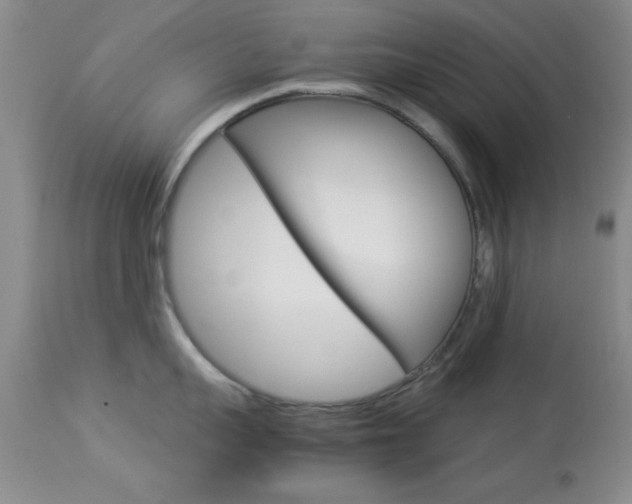 X0000113930959200909250913