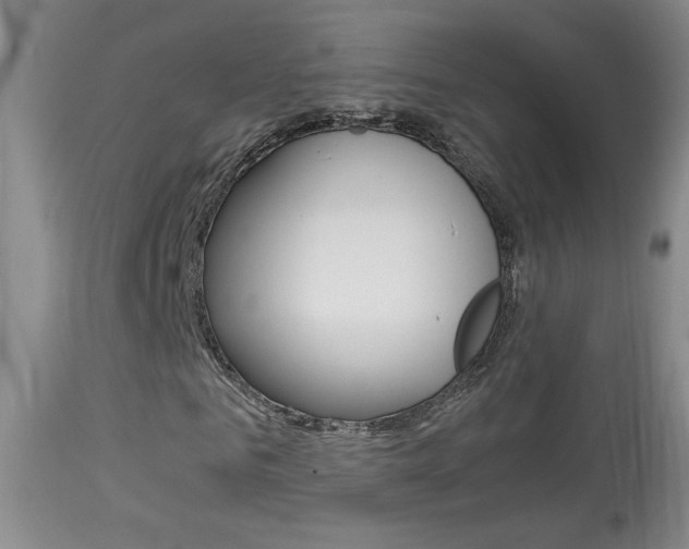 X0000113930961200909250912