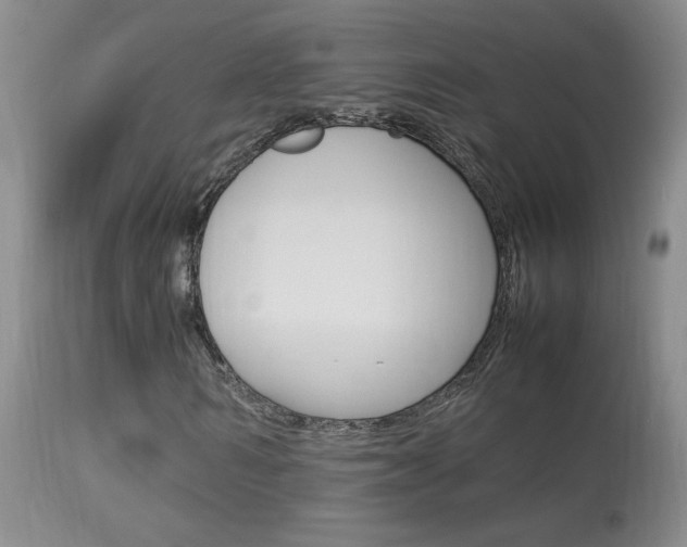 X0000113930962200909250912