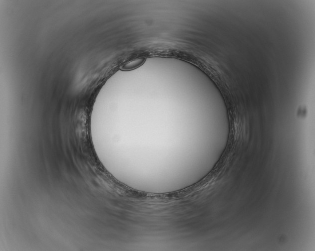 X0000113930964200909250912