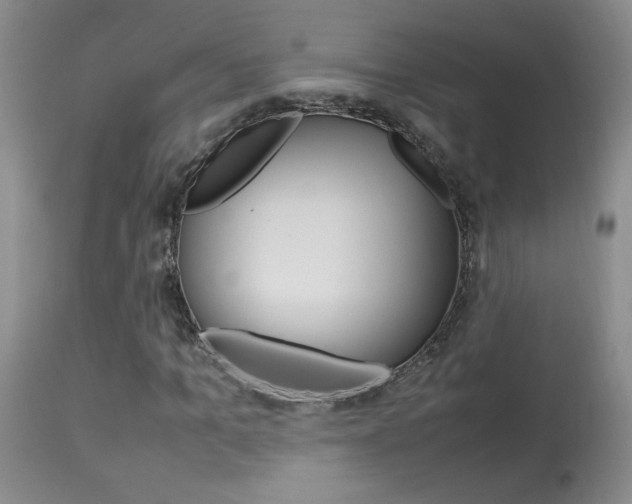X0000113930965200909250912