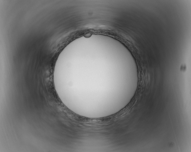 X0000113930966200909250912