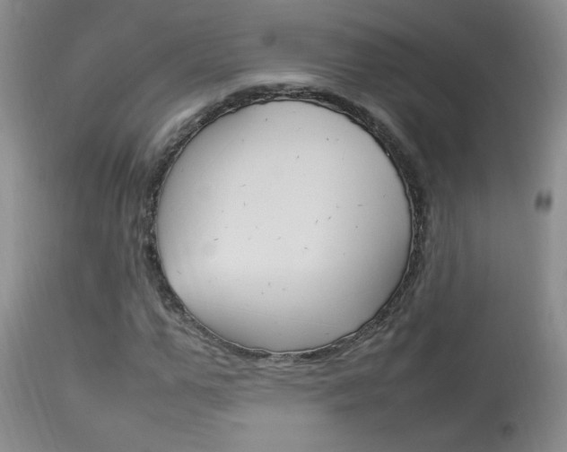 X0000113930967200909250912