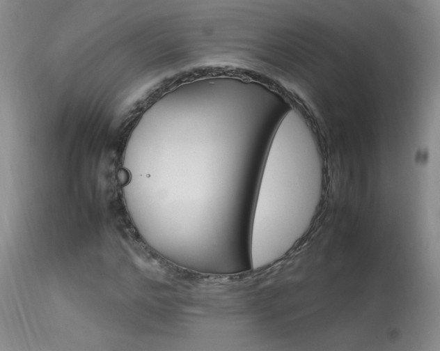 X0000113930968200909250912