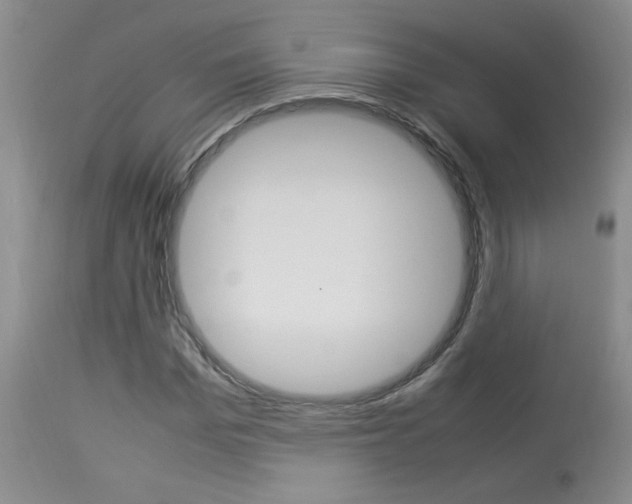 X0000113930969200909250912