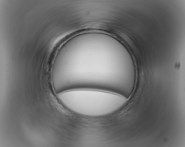 X0000113930971200909250912