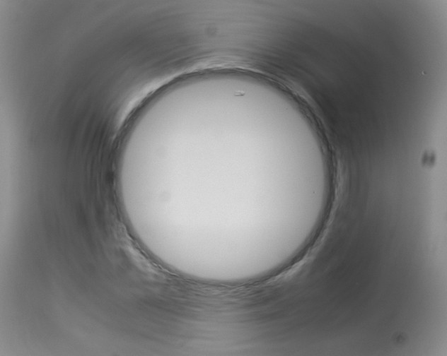 X0000113930973200909250912