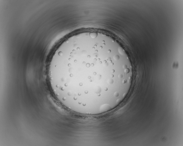 X0000113930974200909250912