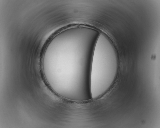 X0000113930976200909250912