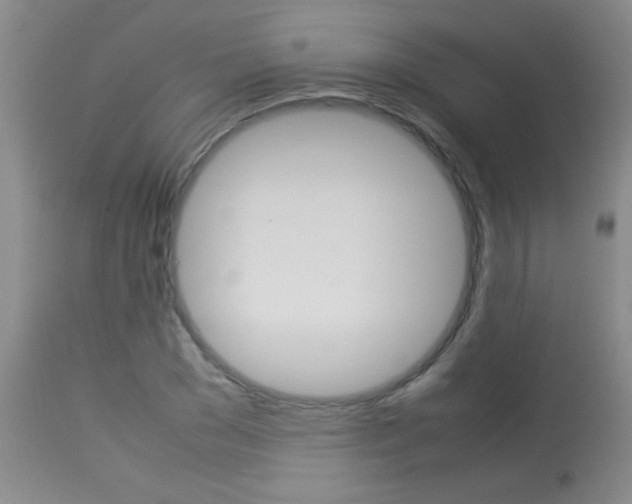 X0000113930977200909250912
