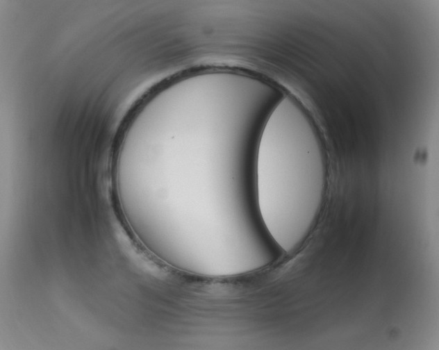 X0000113930984200909250912