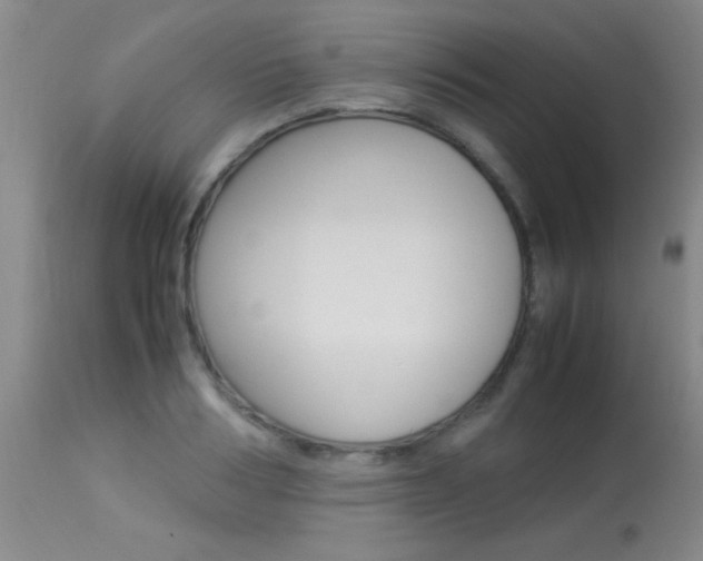 X0000113930986200909250912