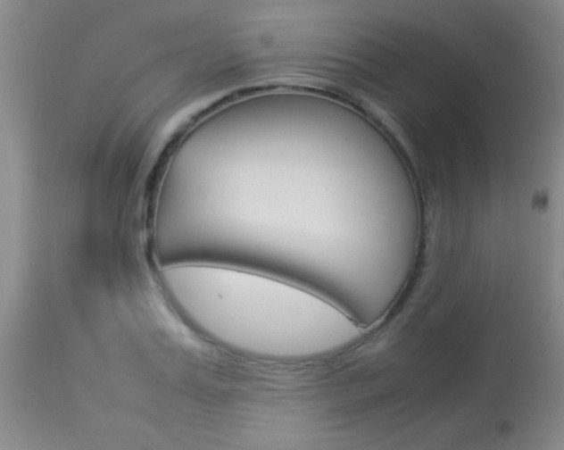 X0000113930987200909250912