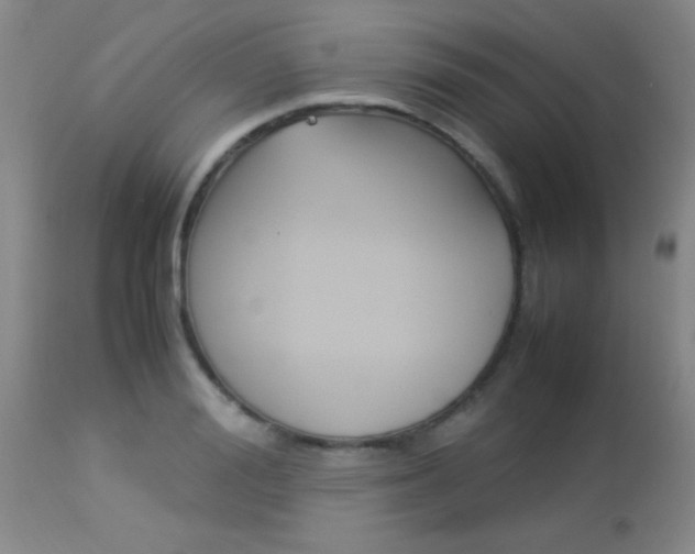 X0000113930988200909250912