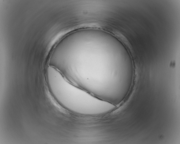 X0000113930989200909250912