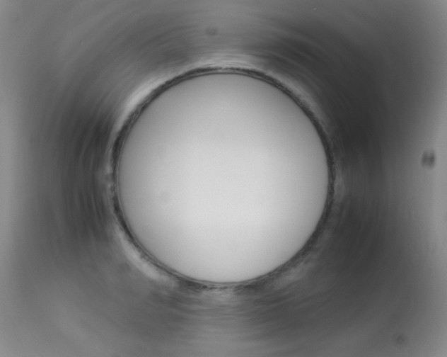 X0000113930990200909250912