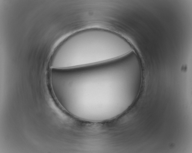 X0000113930991200909250912