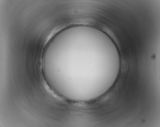 X0000113930994200909250912