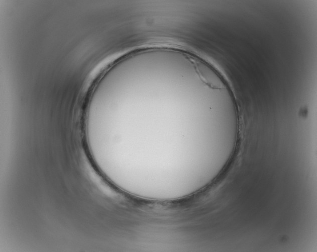 X0000113930995200909250912