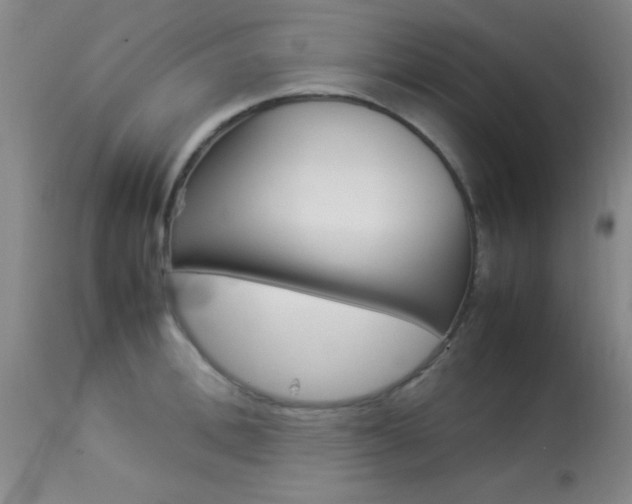 X0000113930996200909250912