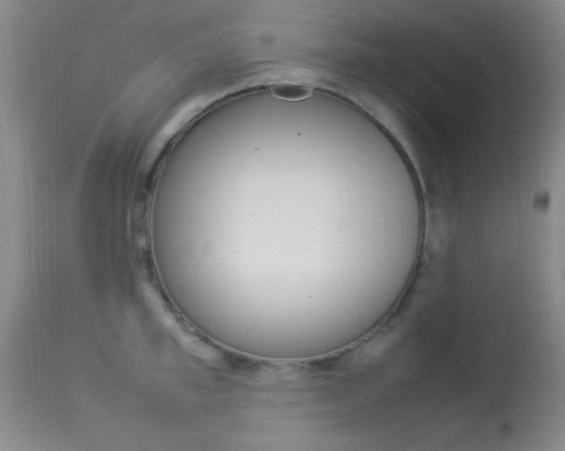 X0000113930997200909250912