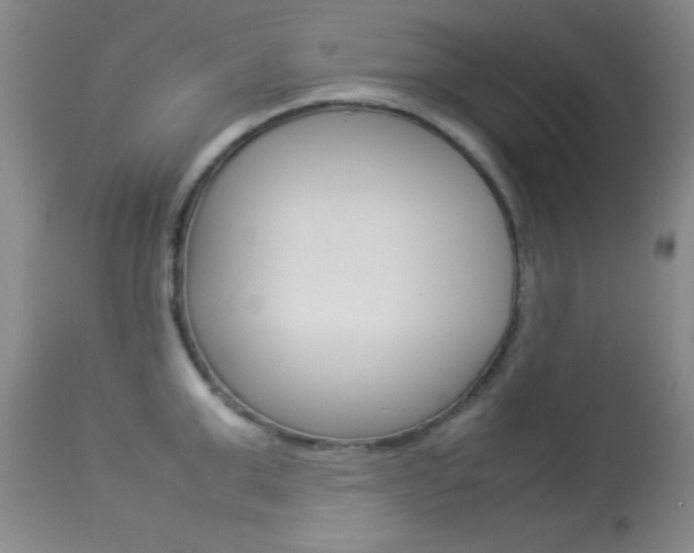 X0000113930999200909250911