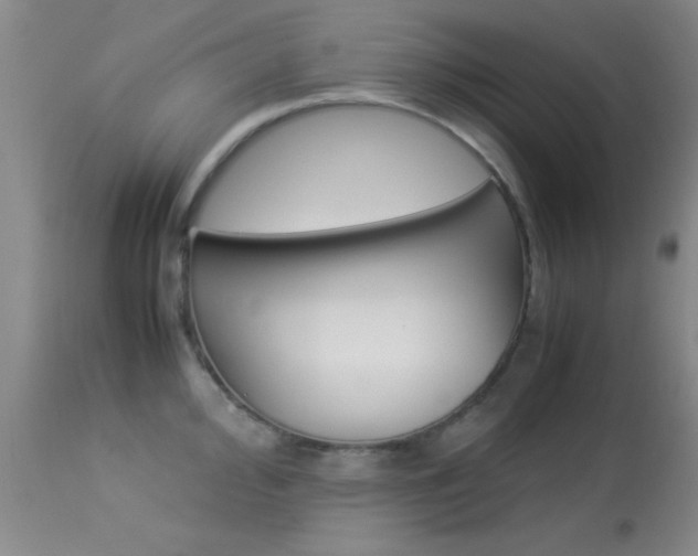 X0000113931000200909250911