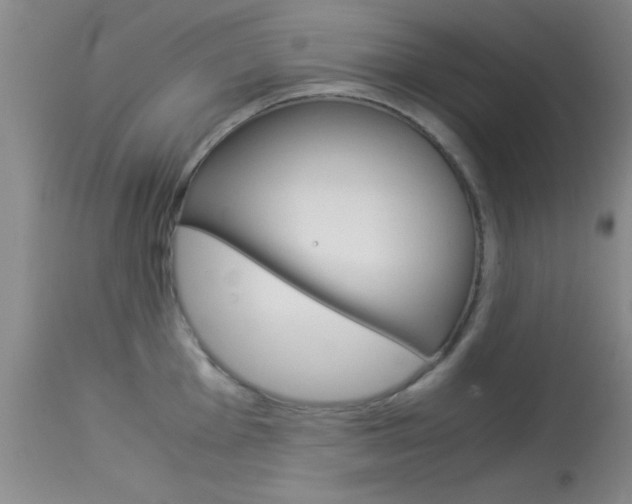 X0000113931001200909250911