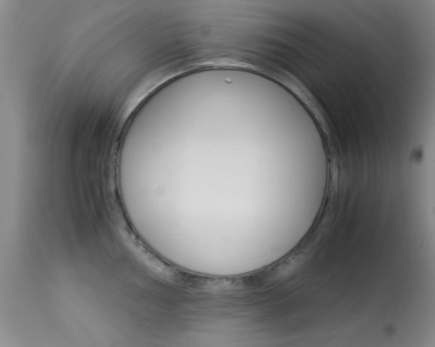 X0000113931002200909250911