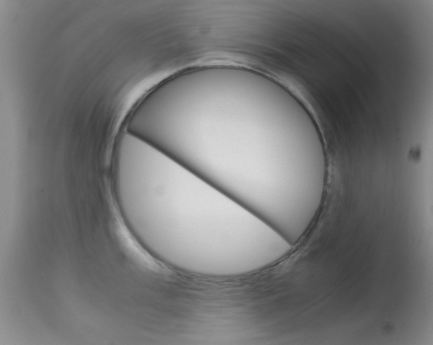 X0000113931003200909250911