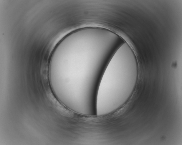 X0000113931004200909250911