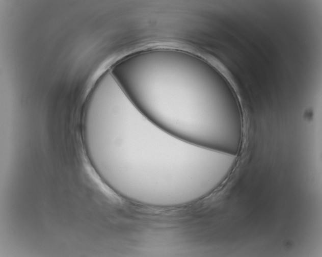 X0000113931005200909250911