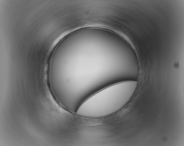 X0000113931007200909250911