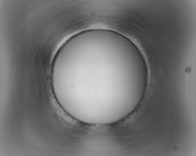 X0000113931008200909250911