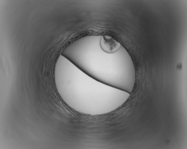 X0000113931009200909250911