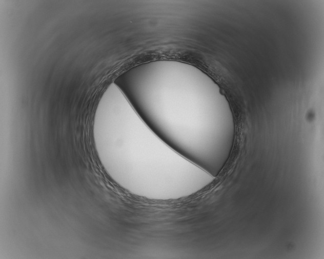 X0000113931010200909250911