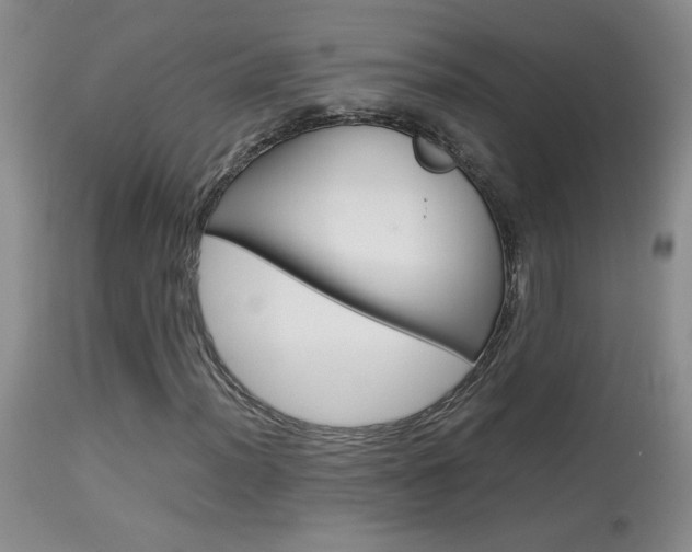 X0000113931012200909250911