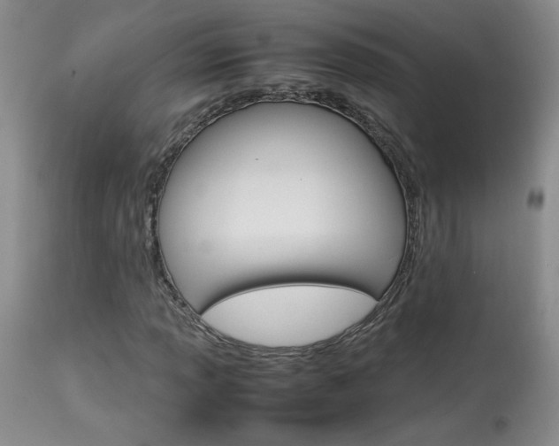 X0000113931013200909250911