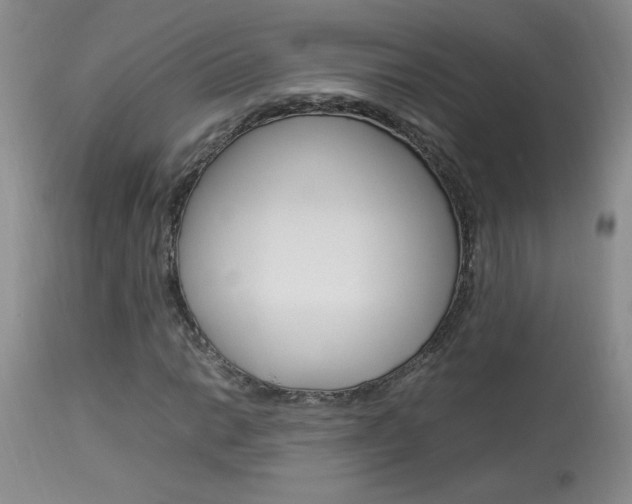 X0000113931014200909250911