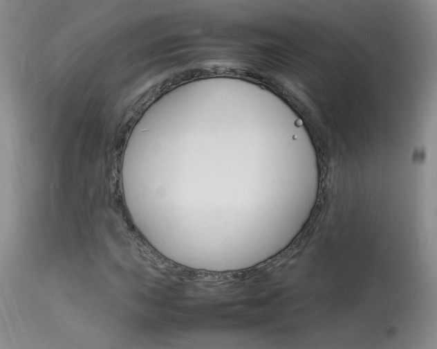 X0000113931015200909250911