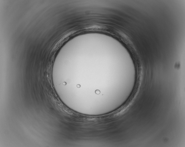 X0000113931017200909250911