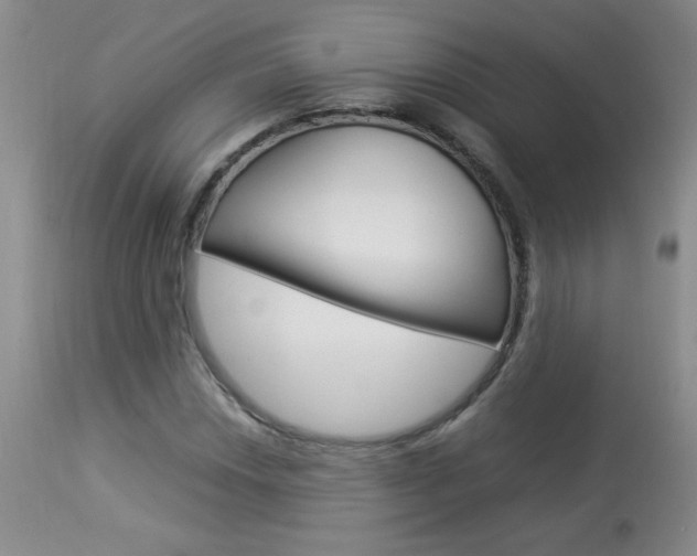 X0000113931018200909250911